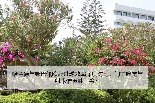 ha-lan-de-yu-mu-ba-pei-ou-guan-jin-qiu-xiao-lv-shen-du-dui-bi-men-qian-xiu-jue-yu-she-shu-shui-geng-sheng-yi-chou-2-722.jpg
